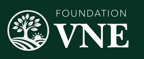 Foundation VNE